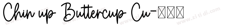 Chin up Buttercup Cu字体转换